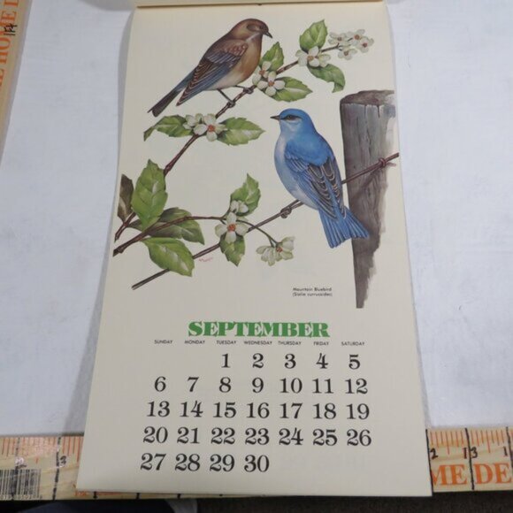 Bird Calendar W/ COLOR SHEET ON REVERSE SIDE Vintage 1981 Collectable LIKE NEW - Picture 13 of 17